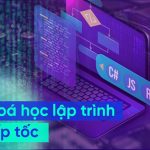 Khóa học sơ cấp